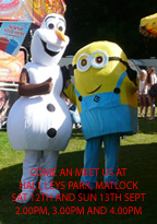 matlockminion